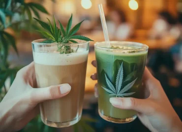 Bebidas con Cáñamo